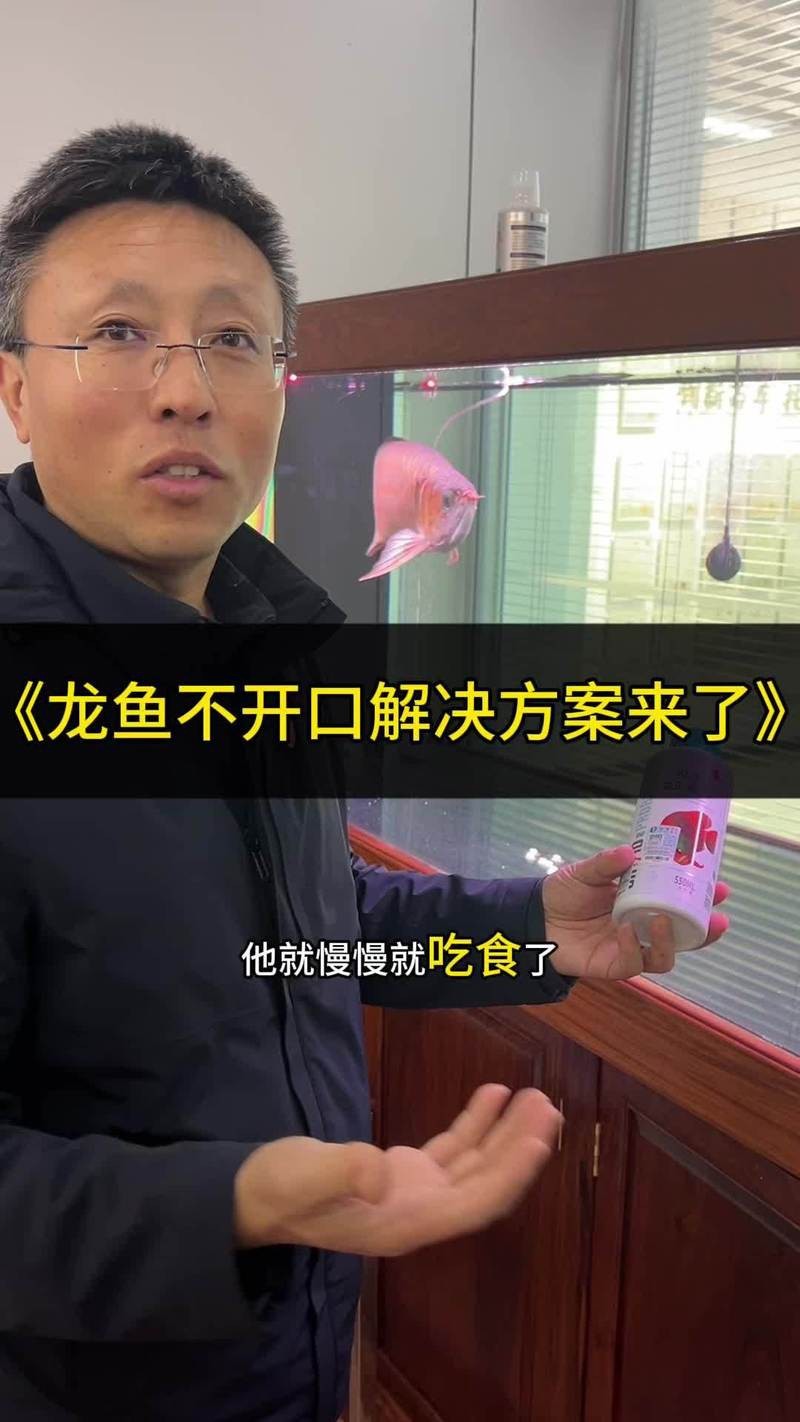 新入缸龍魚多久開口