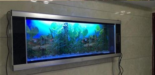 魚缸擺放在風(fēng)水學(xué)中的最佳擺放位置是根據(jù)風(fēng)水學(xué)的最佳擺放位置：家居風(fēng)水學(xué)中的魚缸擺放位置