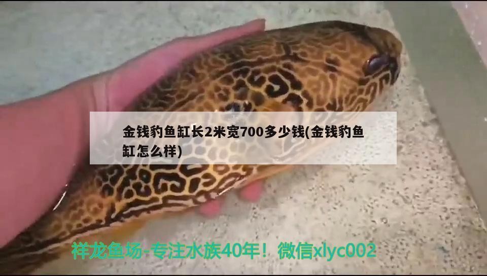 鴻景水族館:一個(gè)令人驚嘆的海洋世界(寶安區(qū)鴻景水族館:一個(gè)令人驚嘆的海洋世界) 全國(guó)水族館企業(yè)名錄 第2張 鴻景水族館:一個(gè)令人驚嘆的海洋世界(寶安區(qū)鴻景水族館:一個(gè)令人驚嘆的海洋世界) 鴻景水族館:一個(gè)令人驚嘆的海洋世界(寶安區(qū)鴻景水族館:一個(gè)令人驚嘆的海洋世界) 全國(guó)水族館企業(yè)名錄 第2張