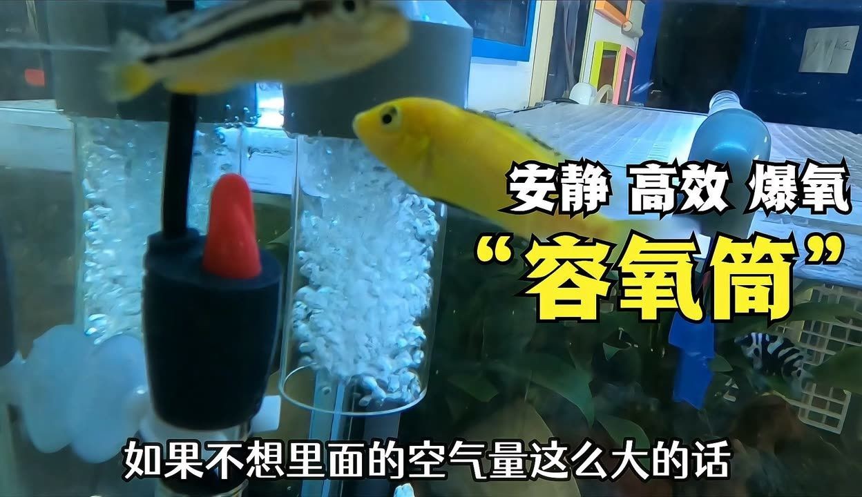 魚(yú)缸爆氧文氏管：文氏管增氧效果對(duì)比 魚(yú)缸爆氧文氏管：文氏管增氧效果對(duì)比 魚(yú)缸百科