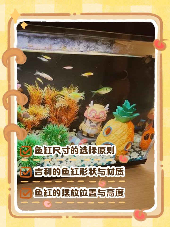 魚缸尺寸最好最吉利 魚缸尺寸最好最吉利 龍魚論壇 第5張