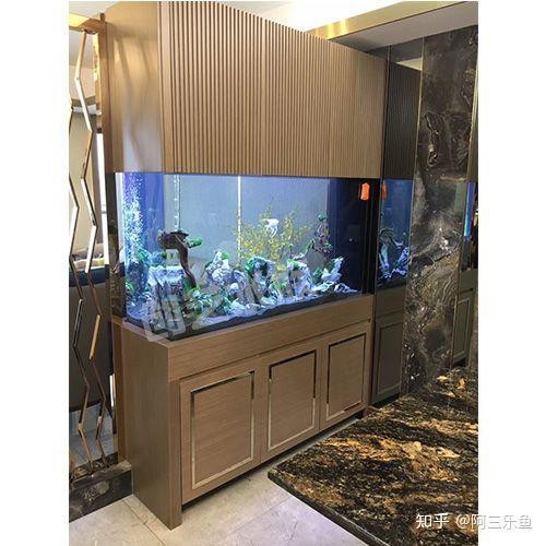魚缸尺寸最好最吉利 魚缸尺寸最好最吉利 龍魚論壇 第6張