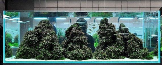 底濾魚缸的物理過(guò)濾搭配包括以下幾個(gè)方面包括以下幾個(gè)方面：底濾魚缸物理過(guò)濾搭配