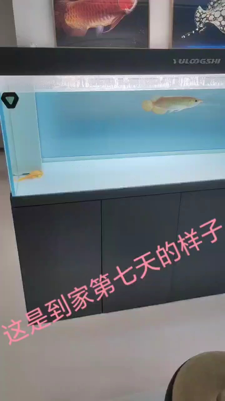 這是當(dāng)時到家第七天的樣子