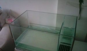 威海魚缸生產廠家有哪些：威海的魚缸生產廠家有哪些？