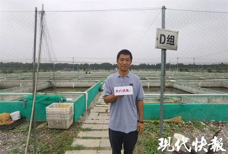有哪些知名的觀賞魚品種會參加比賽？