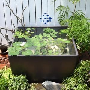 金魚藻的養殖秘訣：金魚藻養殖秘籍
