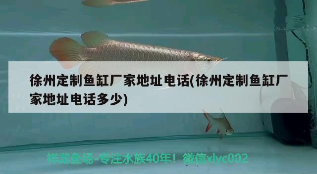 徐州定制魚缸廠家地址電話(徐州定制魚缸廠家地址電話多少)