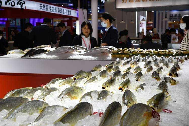 中國國際漁業(yè)博覽會 中國國際漁業(yè)博覽會 2025長城杯龍魚大賽 第6張