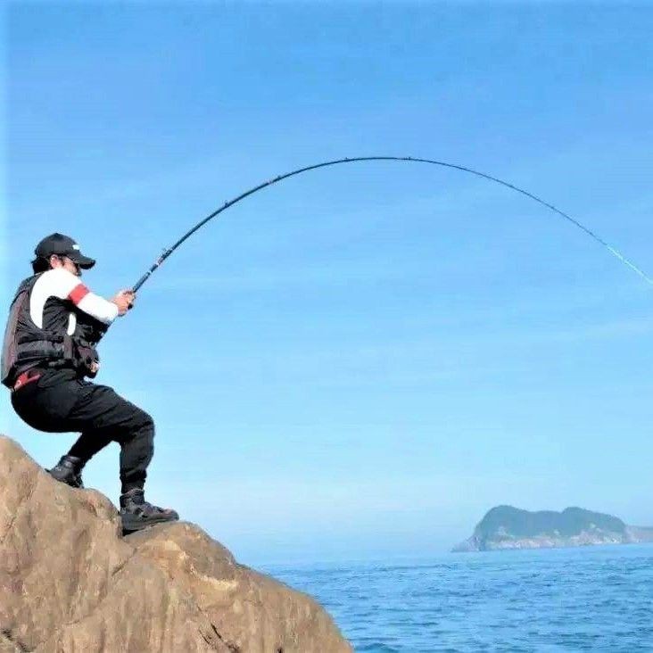 觀賞魚鯧魚的種類 觀賞魚鯧魚的種類 龍魚論壇 第4張
