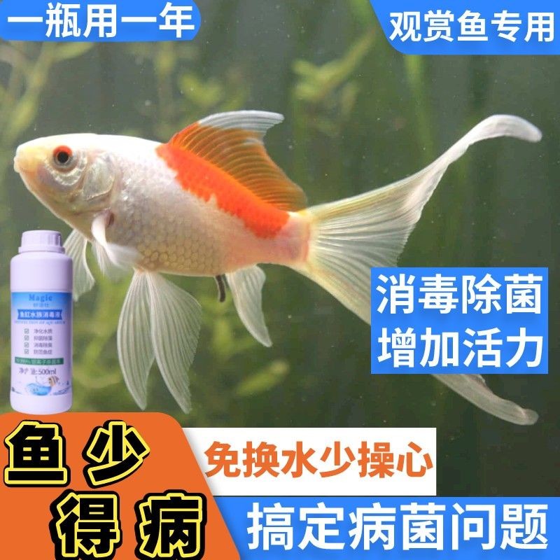 魚缸除藻用除藻劑怎么樣：魚缸除藻劑的使用方法