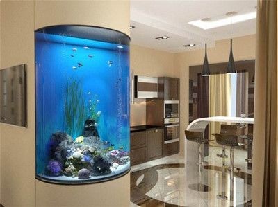 店鋪魚缸適合擺放在什么方位：店鋪魚缸擺放注意事項和技巧-魚缸適合擺放在什么方位