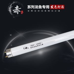 卡普瓦斯之光龍魚騙（卡普瓦斯之光龍魚燈在抖音的熱度）