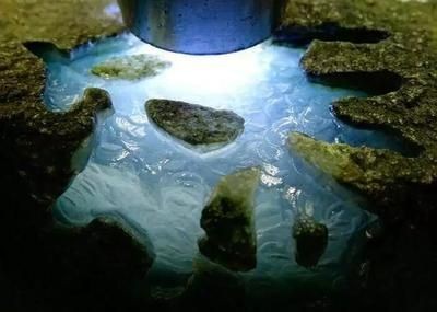 穆彥魁在金龍魚工作多久了，穆彥魁在金龍魚工作多久了，他在金龍魚的工作多久了