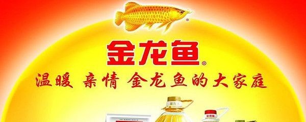 小型雷龍魚缸造景圖片高清（小型雷龍魚缸的造景技巧）