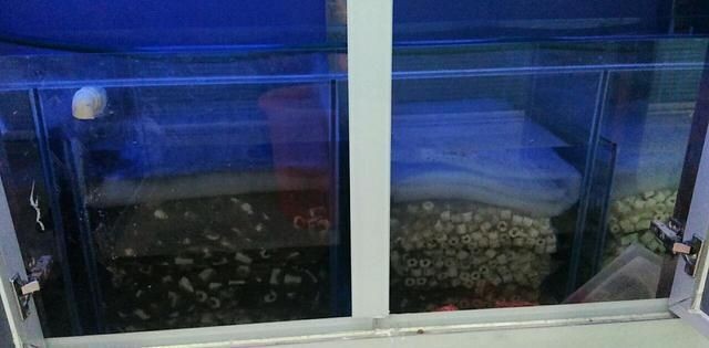 水族過濾材料的選擇：水族箱日常維護與保養 水族過濾材料的選擇：水族箱日常維護與保養 魚缸百科 第2張