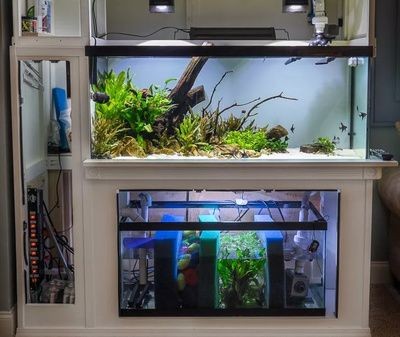 水族過濾材料的選擇：水族箱日常維護與保養 水族過濾材料的選擇：水族箱日常維護與保養 魚缸百科 第3張