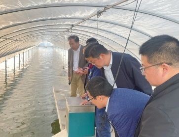 鳳尾魚飼養指南：鳳尾魚的水質管理