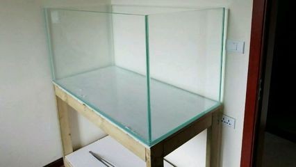 選擇黑魚魚缸的大小時(shí)，需要考慮以下幾個(gè)因素：養(yǎng)魚新手如何選擇合適的魚種