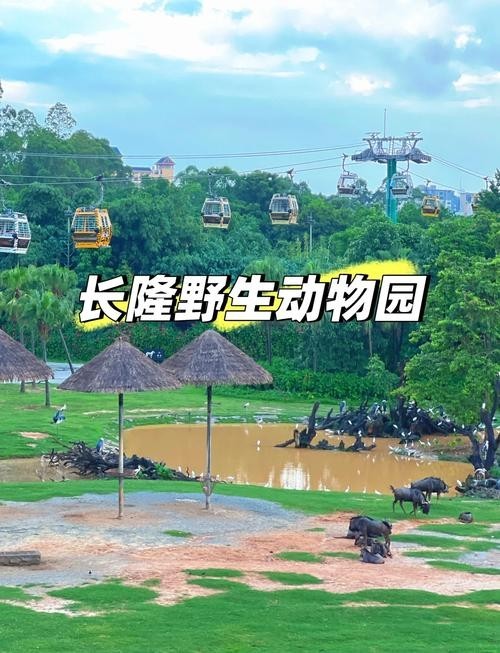 長隆野生動物世界有哪些特色動物？