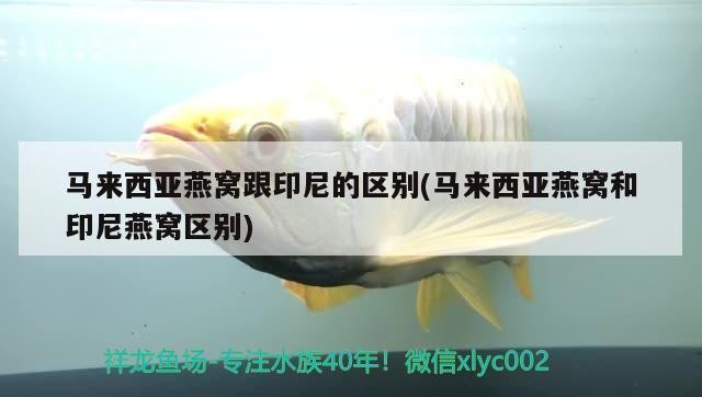 滿洲里市超群水族花卉店（滿洲里市超群水族花卉店電話）
