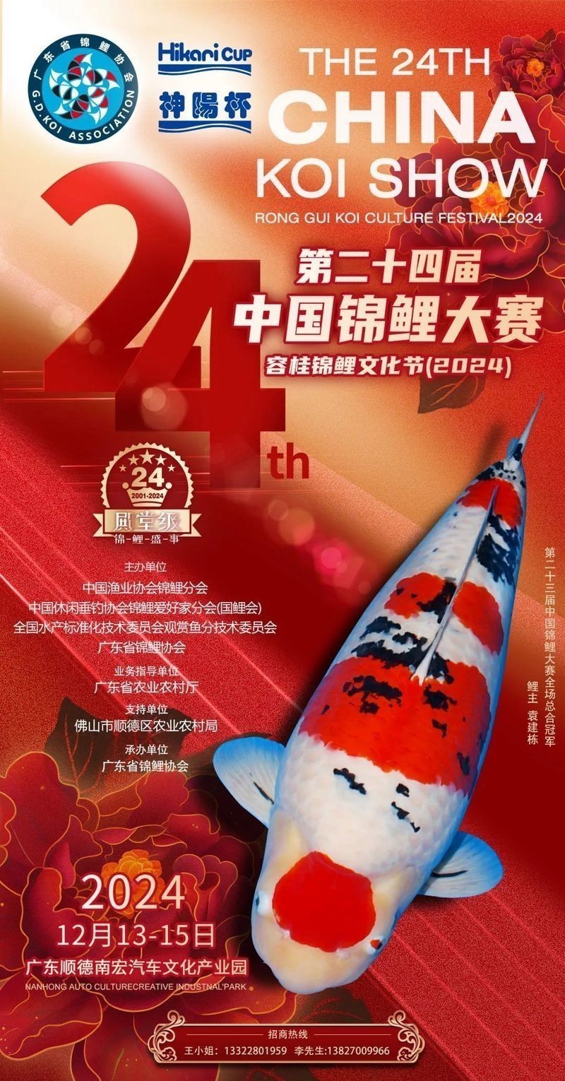 錦鯉杯相關賽事活動