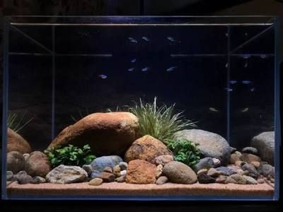 鵝卵石魚缸造景圖片大全 擺法（鵝卵石魚缸造景圖片大全擺法）