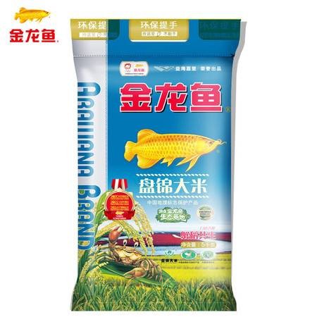 銀龍魚跟金龍魚混養好嗎(銀龍魚和金魚可以一起養嗎) 銀龍魚跟金龍魚混養好嗎(銀龍魚和金魚可以一起養嗎) 銀龍魚百科