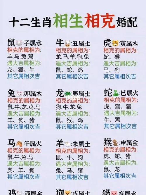 魚代表12生肖的哪一個動物