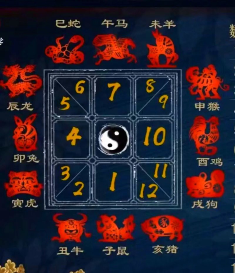 魚代表12生肖的哪一個動物