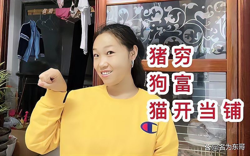 豬來窮,狗來富,貓來開當鋪