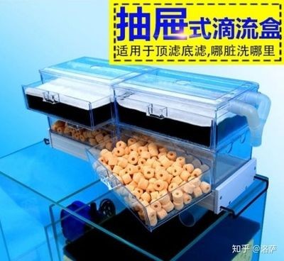 魚缸過濾材料的選擇與作用了解：滴流盒魚缸濾材擺放維持穩定水質管理的步驟和建議 魚缸過濾材料的選擇與作用了解：滴流盒魚缸濾材擺放維持穩定水質管理的步驟和建議 魚缸百科 第1張