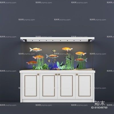 魚缸vr：關于魚缸vr的相關信息