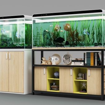 魚缸vr：關于魚缸vr的相關信息