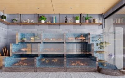 魚缸vr：關于魚缸vr的相關信息