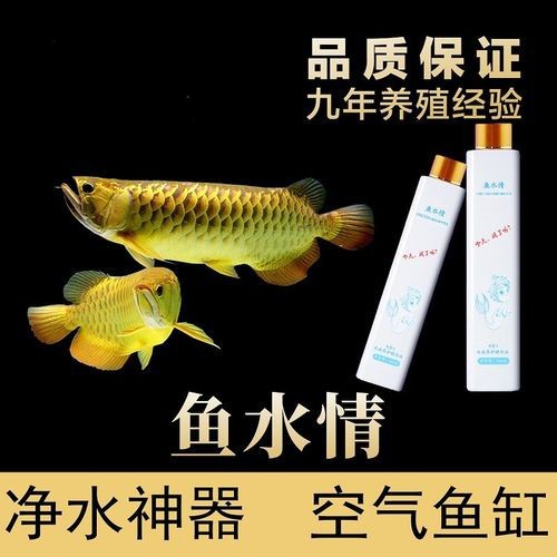 紅龍魚圖片高清頭像女