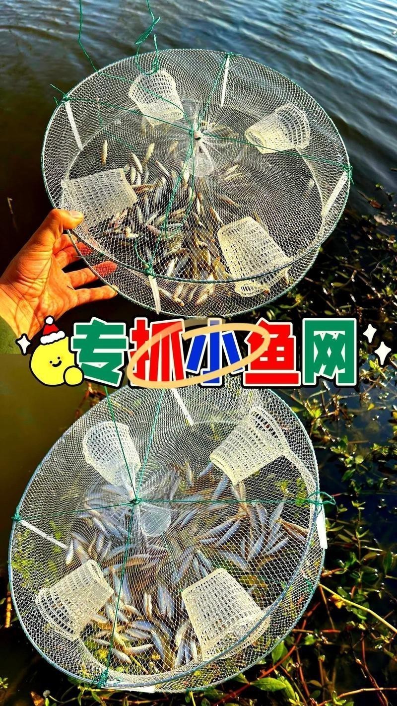 抓魚籠子圖片大全 抓魚籠子圖片大全 龍魚論壇 第2張