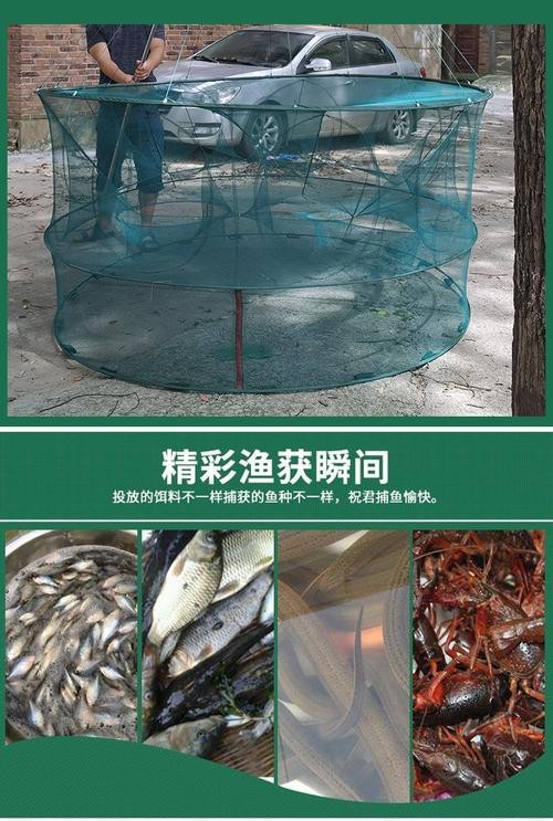 抓魚籠子圖片大全 抓魚籠子圖片大全 龍魚論壇 第18張