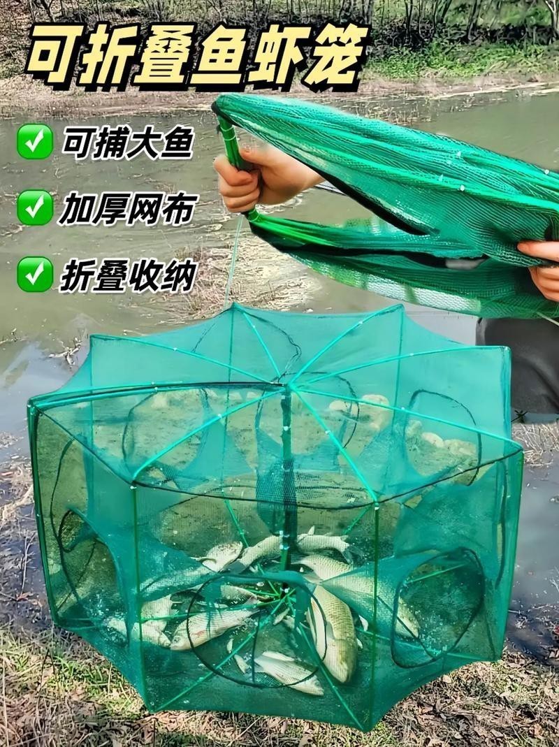 抓魚籠子圖片大全 抓魚籠子圖片大全 龍魚論壇 第15張