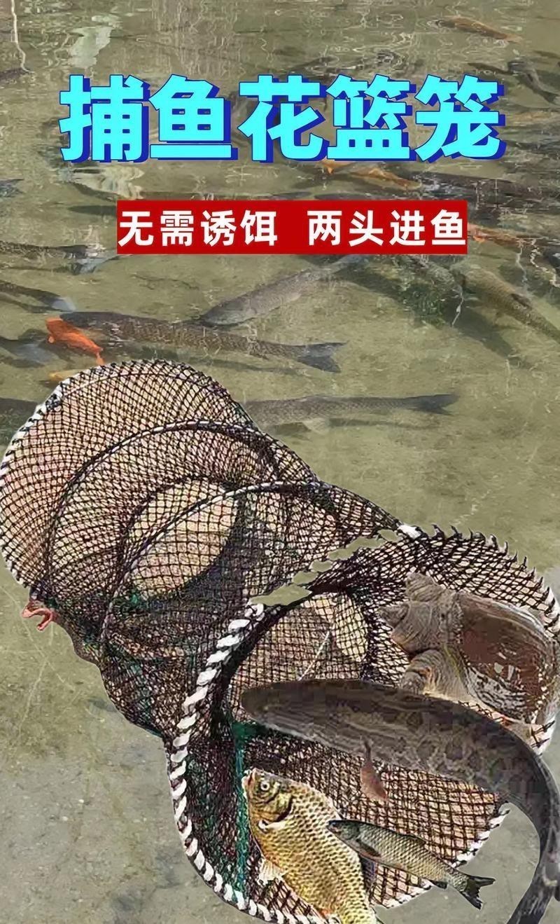 抓魚籠子圖片大全 抓魚籠子圖片大全 龍魚論壇 第24張