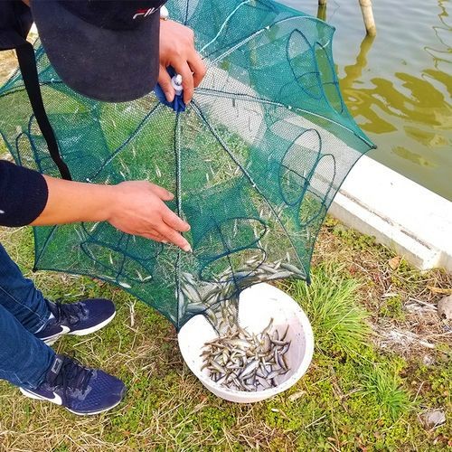 抓魚籠子圖片大全 抓魚籠子圖片大全 龍魚論壇 第26張