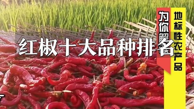 紅霸辣椒品種有哪些