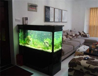 底濾魚缸的作用和技巧：底濾魚缸養(yǎng)小魚的技巧