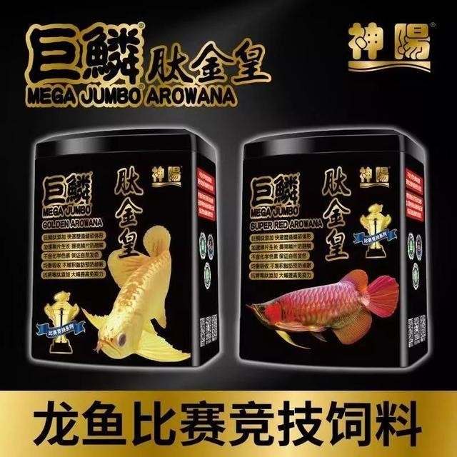 2025年長城杯水族展有哪些創新產品
