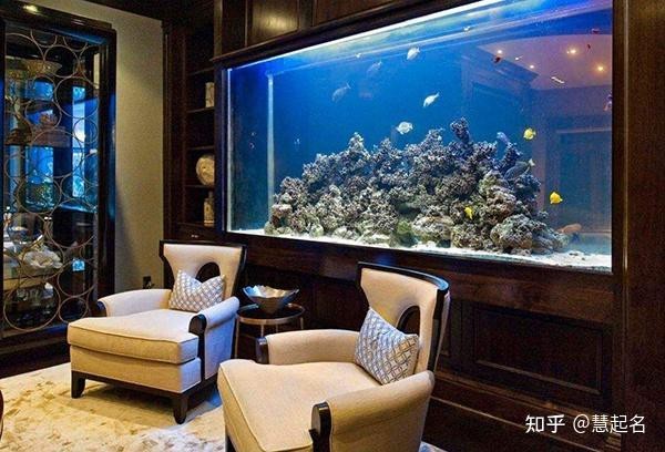 家養金魚幾條最好風水
