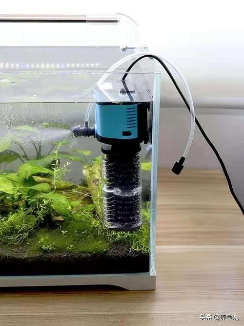 長城杯龍魚大賽有官方推薦的水泵嗎？