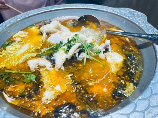 石家莊吃龍魚哪里好一點