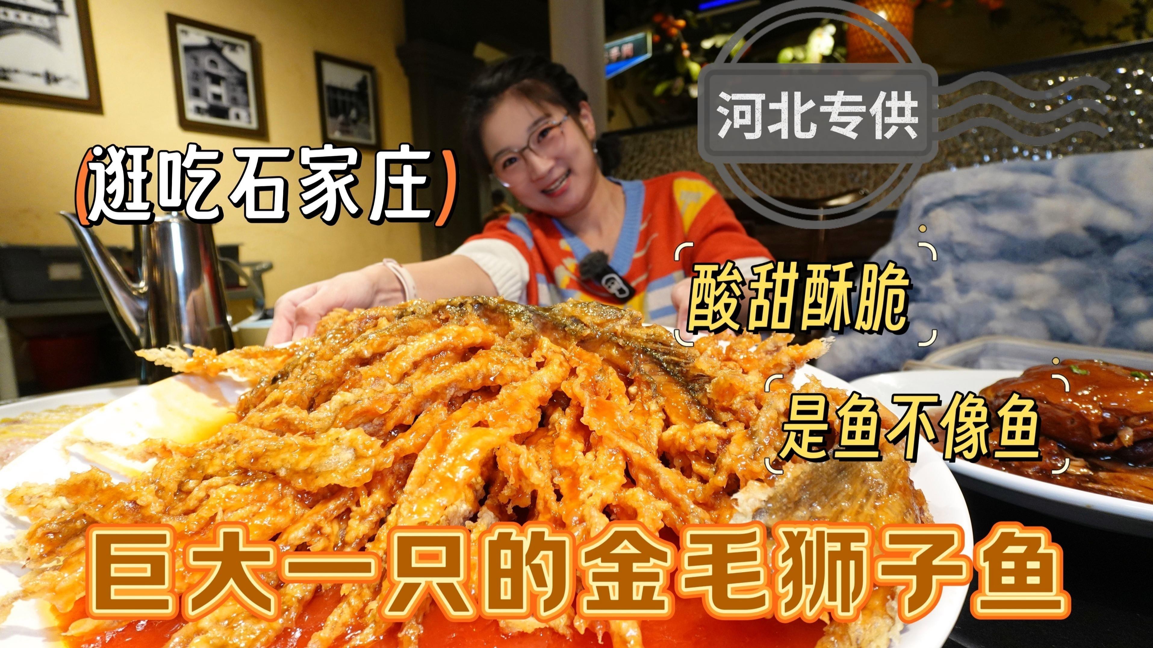 石家莊吃龍魚哪里好一點