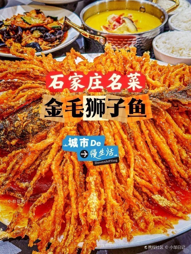 石家莊吃龍魚哪里好一點