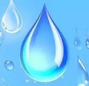 如何獲取更多水族展會信息？
